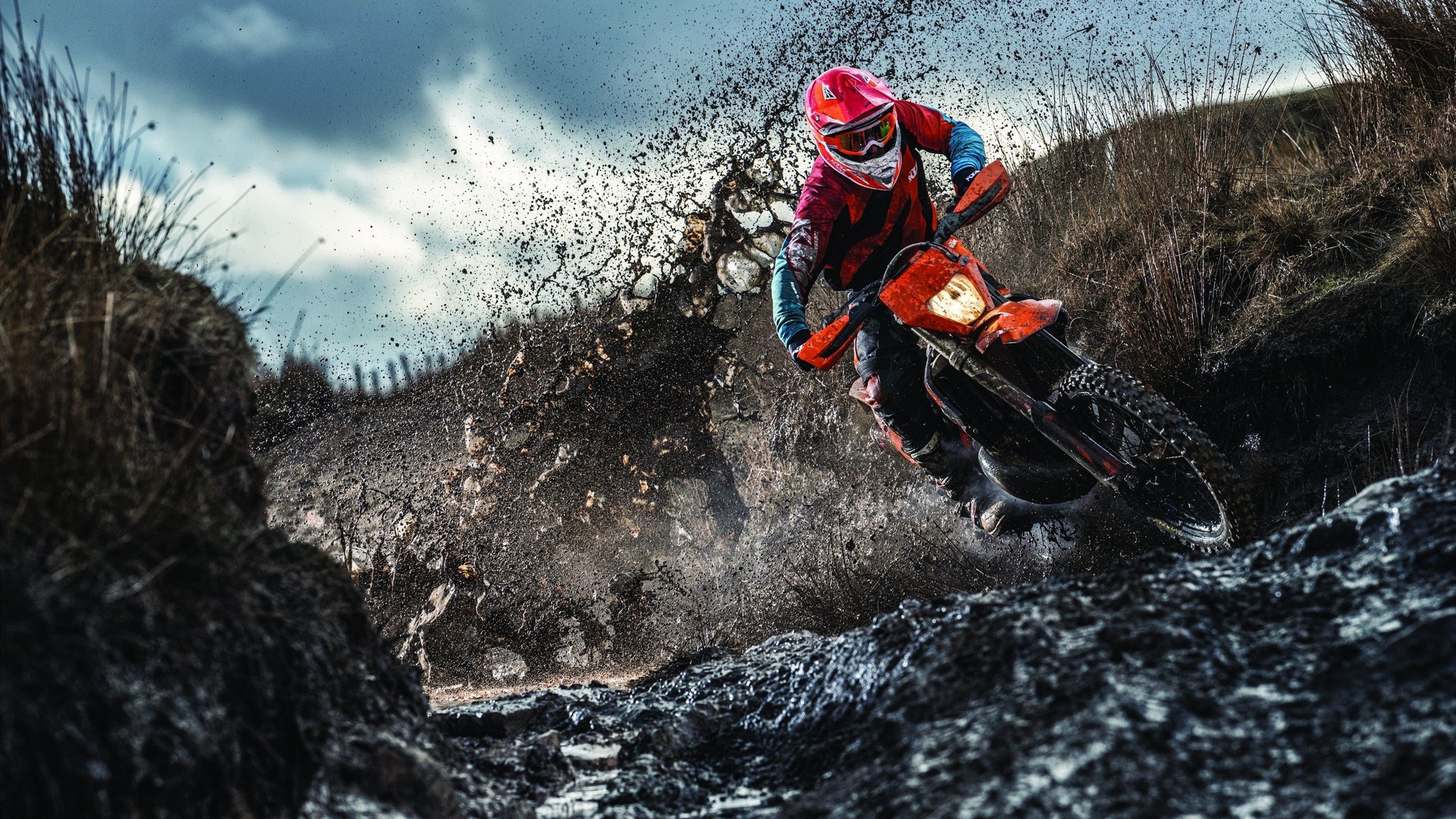 詹姆斯在雄鹿比赛中反败为胜,出色防守引发热议!全场沸腾不已